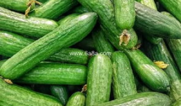 天津4s吃瓜爆料,揭秘汽车销售内幕